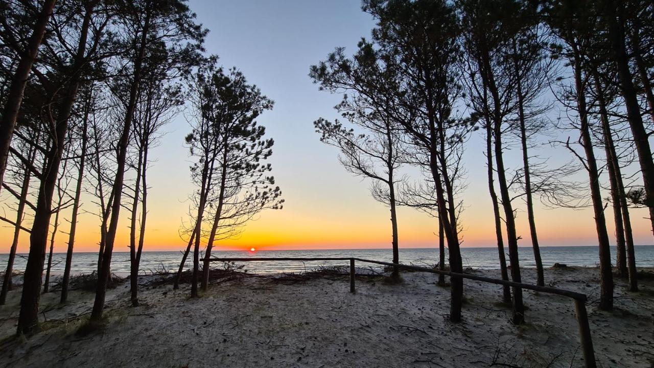 Vila Sasinko Sasino Exteriér fotografie